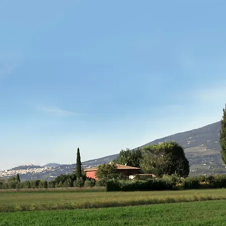 Monaldesca Spello
